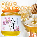 【ふるさと納税】はちみつ 化粧箱入り 国産 天然 純はちみつ れんげ 1kg ギフト 《包装対応、手提げ袋付》 お届け:2025年5月より順次発送いたします。