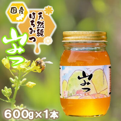 【ふるさと納税】はちみつ 国産 天然 純はちみつ やまみつ 600g ハチミツ 蜂蜜