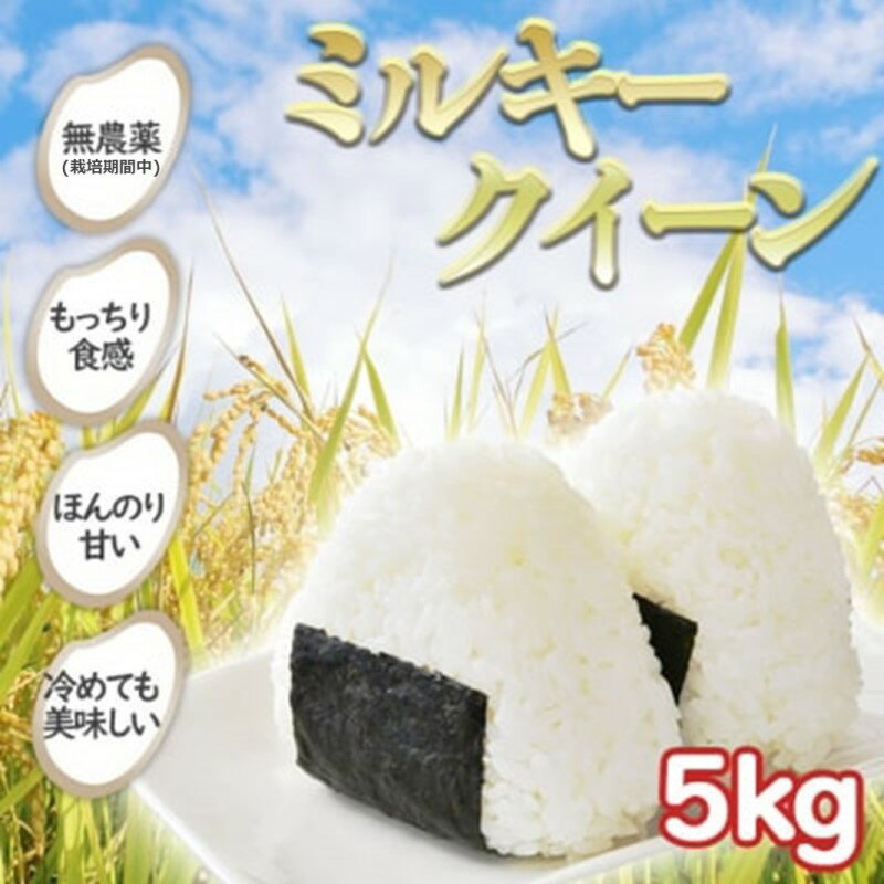 先行予約 栽培期間中 無農薬栽培 令和6年産 新米 つやつやもっちり ミルキークイーン 5kg こめ 米 [小郡市] お届け:2024年9月21日〜12月末日まで