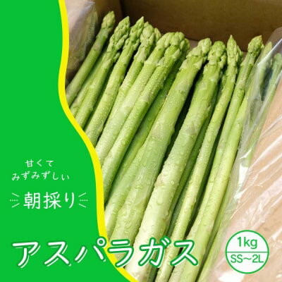 43位! 口コミ数「0件」評価「0」アスパラガス 小郡産 朝採りアスパラガス 1kg (SS、S、M、L、2Lサイズ混) 野菜 永利農園　【小郡市】　お届け：2024年10月末･･･ 