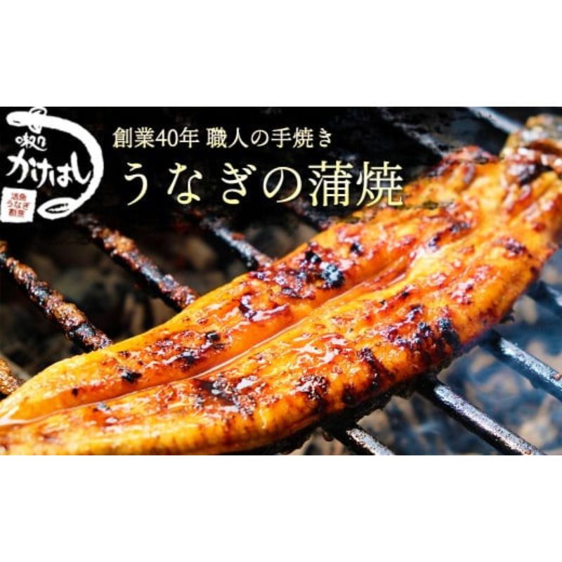 創業40年 全てが職人による手焼き うなぎの蒲焼き 1尾 [うなぎ・鰻]