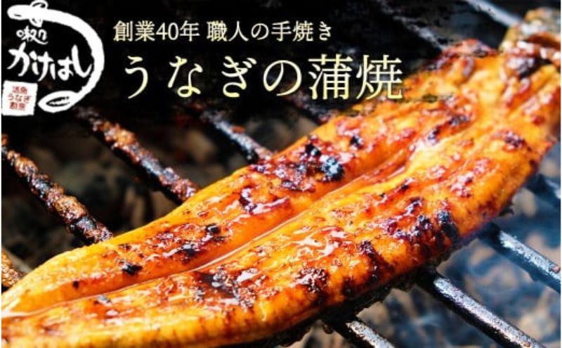 【ふるさと納税】創業40年 全てが職人による手焼き うなぎの蒲焼き 2尾 鰻