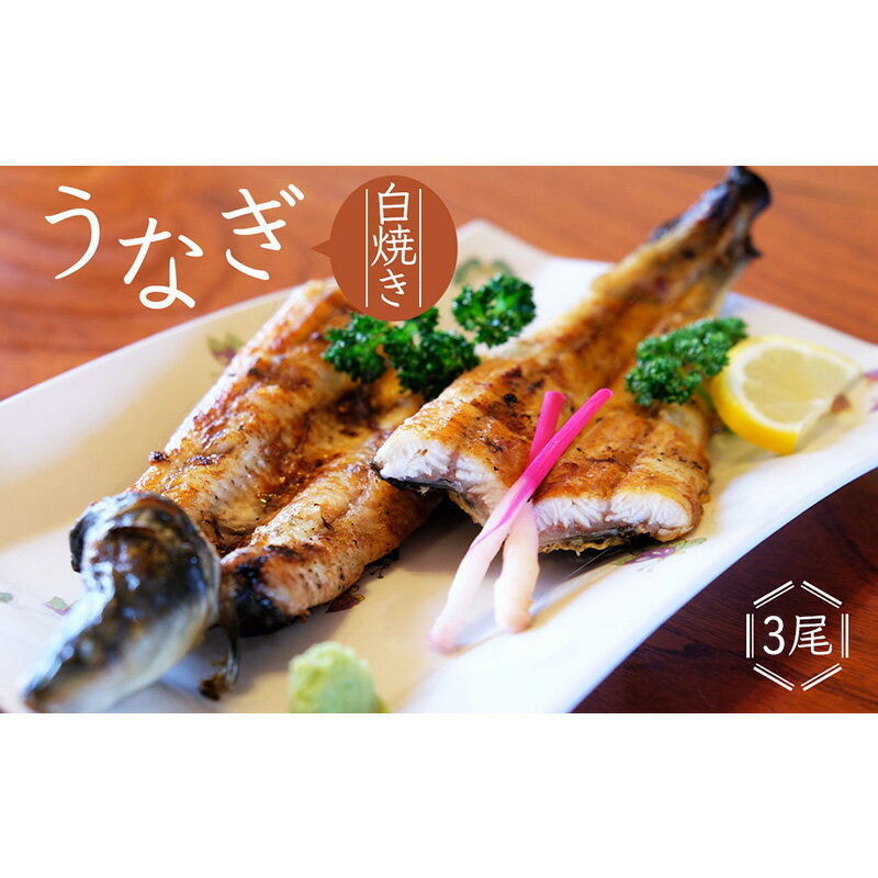【ふるさと納税】かけはし 創業40年 全てが職人による手焼き うなぎの白焼き 3尾 鰻