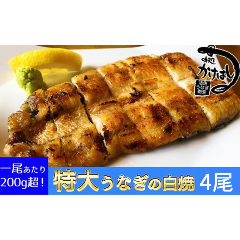 【ふるさと納税】心に染みる「かけはし」の味 特大 うなぎの白焼き 4尾 鰻