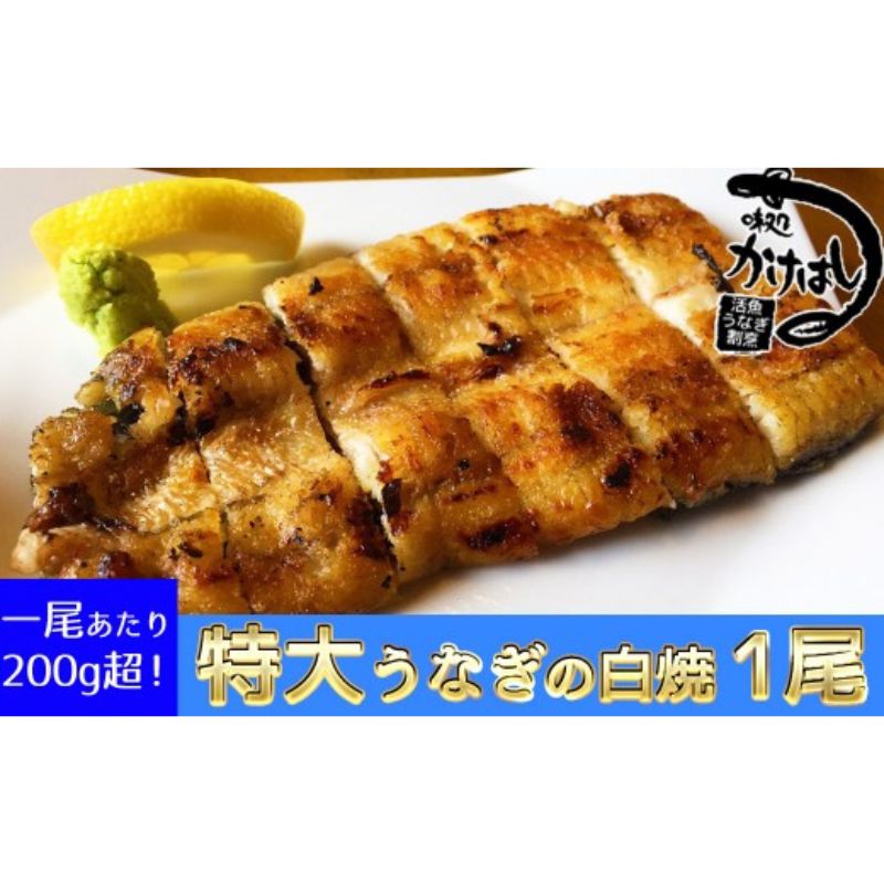 心に染みる「かけはし」の味 特大 うなぎの白焼き 1尾 [うなぎ・鰻]