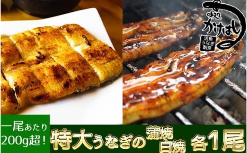 【ふるさと納税】心に染みる「かけはし」の味 特大 うなぎの蒲焼き 白焼き（各1尾） 秘伝のタレ付　【うなぎ・鰻】