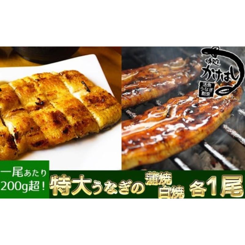 12位! 口コミ数「0件」評価「0」心に染みる「かけはし」の味 特大 うなぎの蒲焼き 白焼き（各1尾） 秘伝のタレ付　【うなぎ・鰻】