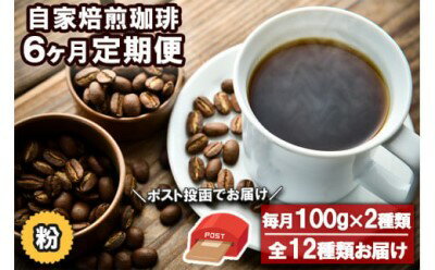 コーヒー 定期便 6ヶ月 自家焙煎 Morrow珈琲 100g×2種 粉 中挽き　【定期便・小郡市】