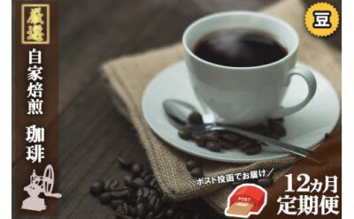 コーヒー 定期便 12ヶ月 自家焙煎 Morrow珈琲 100g×2種 豆　【定期便・小郡市】