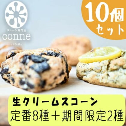 焼菓子 生クリームスコーン 10個 セット 福岡県産小麦と生クリーム使用 conne お菓子 おやつ ※配送不可：沖縄、離島　【小郡市】