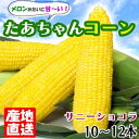 【ふるさと納税】とうもろこし 生でも美味しい スイートコーン 白水農園のたあちゃんコーン 10～12本 約3kg サニーショコラ 野菜 トウモロコシ ※配送不可：沖縄、離島　【小郡市】　お届け：2024年5月中旬～6月下旬･･･