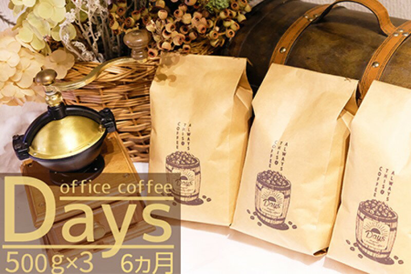 定期便 6ヶ月 自家焙煎 オフィスコーヒー Days マイルドブレンド 500g×3 豆 6回 お楽しみ　【定期便・小郡市】