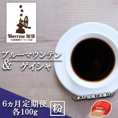 定期便 6ヶ月 自家焙煎 ブルーマウンテンNo.1＆ゲイシャ (粉) 各100g ポスト投函 珈琲 コーヒー 6回 お楽しみ　【定期便・小郡市】