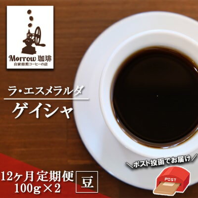 定期便 12ヶ月 世界最高峰 珈琲の一つ ゲイシャ (豆) 100g×2 ポスト投函 珈琲 コーヒー 12回 お楽しみ　【定期便・小郡市】