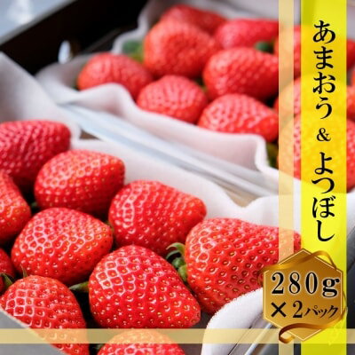 59位! 口コミ数「0件」評価「0」いちご いちごの王様 あまおう＆よつぼし 各1パック セット (280g×2) イチゴ 苺 果物 デザート ベリー畑 福田ファーム ※配送不･･･ 