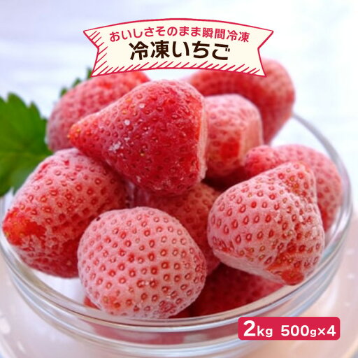【ふるさと納税】いちご 冷凍いちご 500g×4 イチゴ 苺 果物 デザート ベリー畑 福田ファーム ※配送不可:沖縄、離島 【ふるさと納税】いちご 冷凍いちご 500g×4 イチゴ 苺 果物 デザート ベリー畑 福田ファーム ※配送不可:沖縄、離島