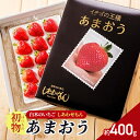 【ふるさと納税】いちご 初物 2025年内にお届け あまおう 約400g (12~15粒) 白木のいちご しあわせもん イチゴ 苺 果物 デザート ※配送不可:沖縄・離島 お届け:2025年11月上旬~12月中旬