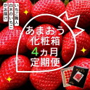 【ふるさと納税】定期便 4ヶ月 いちご いちご職人 白木のいちご あまおう 化粧箱 1箱 4回 コース イチゴ 苺 果物 デザート お楽しみ ※配送不可:沖縄・離島 お届け:2026年1月中旬~4月下旬まで