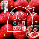 【ふるさと納税】定期便 6ヶ月 いちご いちご職人 白木のいちご あまおうづくし 6回 コース イチゴ 苺 果物 デザート お楽しみ ※配送不可:沖縄・離島 お届け:2026年1月中旬~6月下旬まで