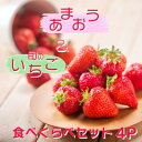 【ふるさと納税】いちご いちご職人 白木のいちご 「あまおう2P」と「旬のいちご2P」 食べ比べ セット イチゴ 苺 果物 デザート ※配送不可:沖縄・離島 お届け:2026年2月上旬~4月下旬まで