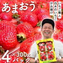 【ふるさと納税】いちご いちご職人 白木のいちご あまおう 300g×4パック詰め (M〜3Lサイズ) イチゴ 苺 果物 デザート ※配送不可:沖縄・離島 お届...