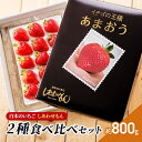 【ふるさと納税】いちご 2種 食べ比べ セット いちご職人 白木のいちご あまおう 化粧箱 1箱 旬のいちご 化粧箱 1箱 イチゴ 苺 果物 デザート ※配送不...