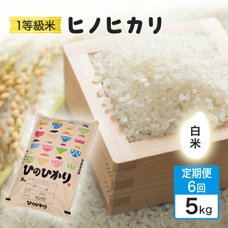 【ふるさと納税】定期便 6回 米 1粒からこだわる 1等級米 ヒノヒカリ 白米5kg お米 コメ お楽しみ 6ヶ月