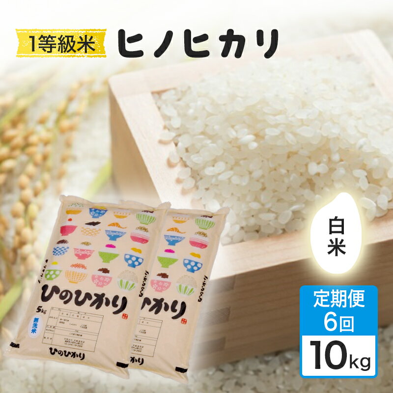 【ふるさと納税】定期便 6回 米 1粒からこだわる 1等級米 ヒノヒカリ 白米10kg お米 コメ お楽しみ 6ヶ月