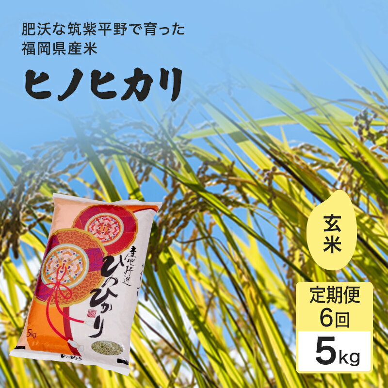 楽天市場】玄米 30kg 送料無料(産地(都道府県)福岡)(食品 楽天市場】玄米 30kg 送料無料(産地(都道府県)福岡)(食品