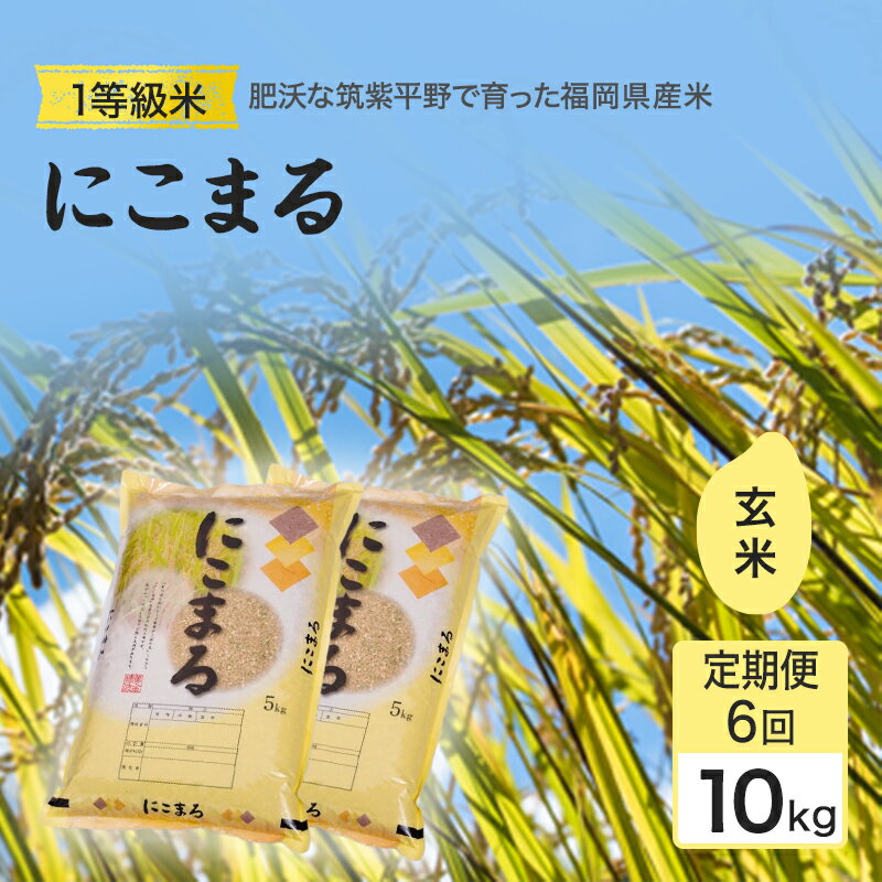 楽天市場】玄米 10kg 送料無料(産地(都道府県)福岡)の通販 楽天市場】玄米 10kg 送料無料(産地(都道府県)福岡)の通販