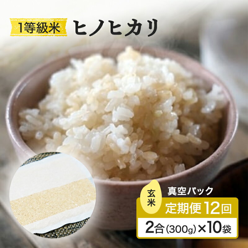 【ふるさと納税】定期便 12回 米 1等級米 一粒からこだわる 真空パック 玄米 ヒノヒカリ 2合(300g)×10袋 お米 コメ お楽しみ 12ヶ月