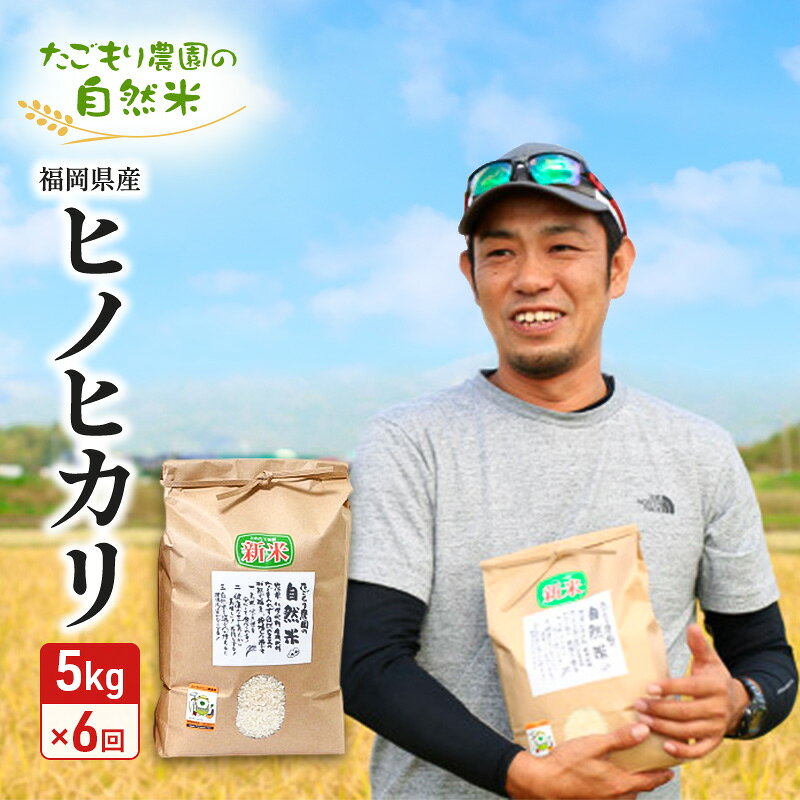 【ふるさと納税】定期便 6ヶ月 たごもり農園の自然米 ヒノヒカリ 5kg 小郡産 栽培期間中 農薬不使用 お米 コメ 精米 6回 お楽しみ