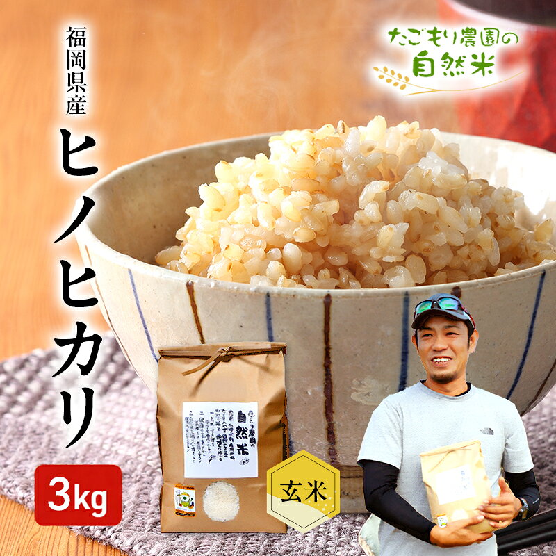 【ふるさと納税】米 令和7年産 たごもり農園の自然米 ヒノヒカリ 玄米 3kg お米
