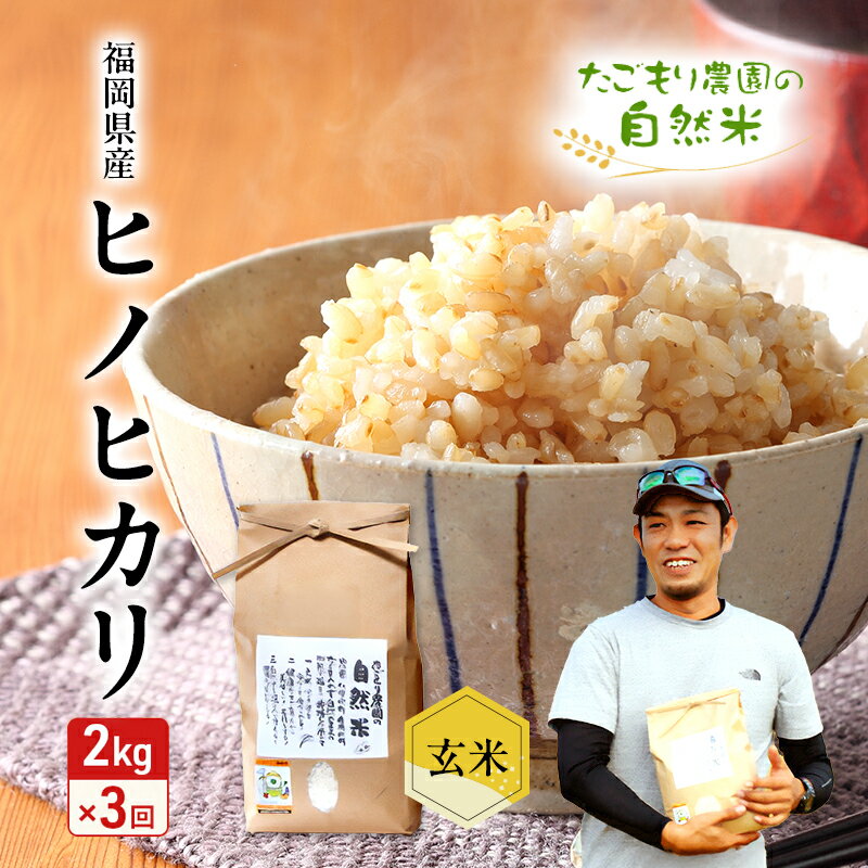 【ふるさと納税】定期便 3ヶ月 米 たごもり農園の自然米 ヒノヒカリ 玄米 2kg お米 3回