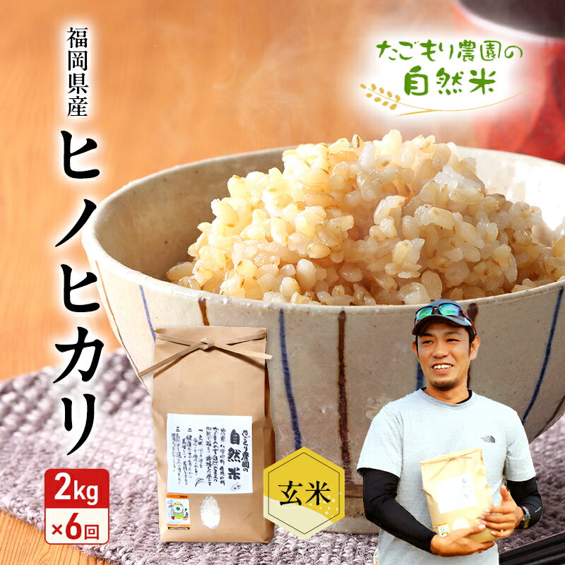 【ふるさと納税】定期便 6ヶ月 米 たごもり農園の自然米 ヒノヒカリ 玄米 2kg お米 6回