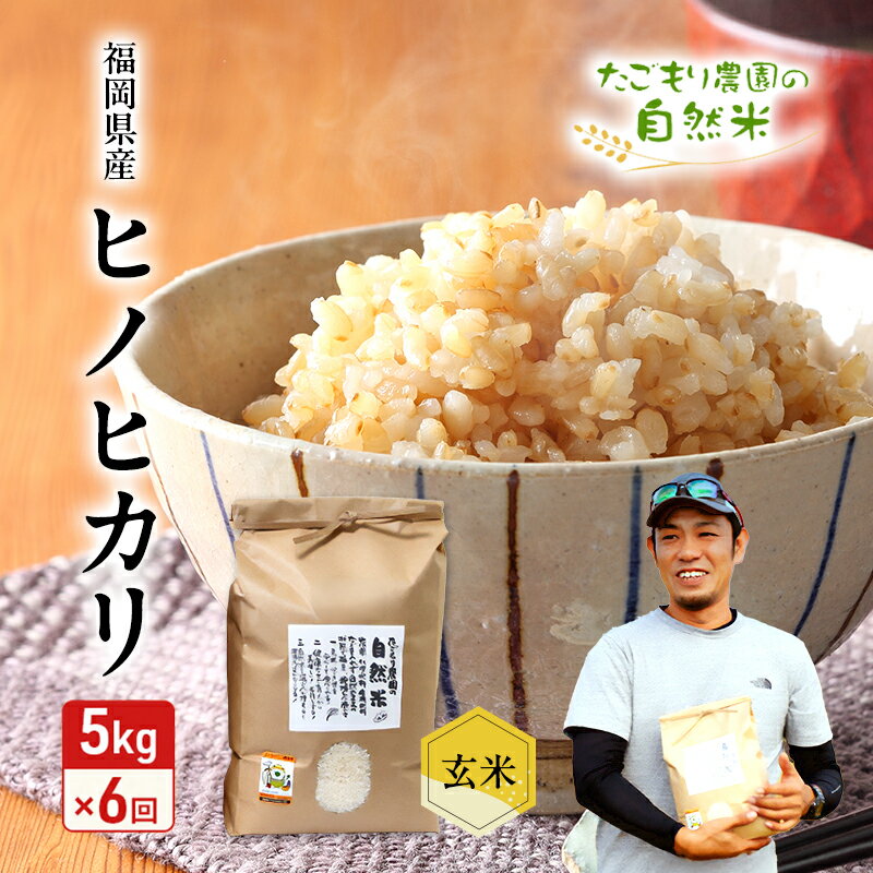 【ふるさと納税】定期便 6ヶ月 米 たごもり農園の自然米 ヒノヒカリ 玄米 5kg お米 6回