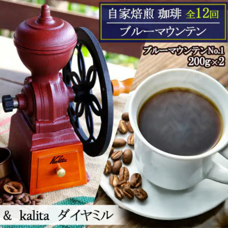 【ふるさと納税】定期便 12回 自家焙煎 ブルーマウンテン(ストレート) 12ヶ月 &ダイヤミル(200g×2×12回) お楽しみ Morrow珈琲