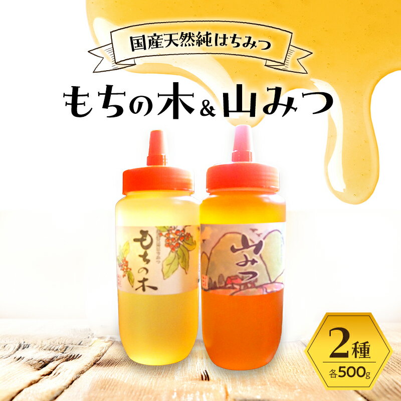 【ふるさと納税】はちみつ もちの木／山みつ 各500g セット 蜂蜜 2種