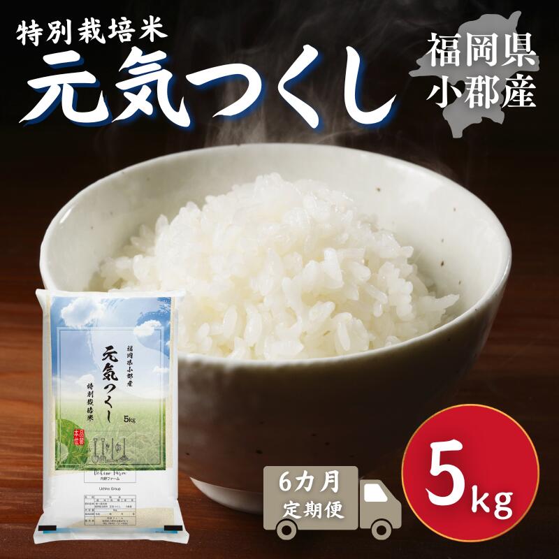 【ふるさと納税】定期便 6回 特別栽培米 福岡県 小郡産 元気つくし 5kg 米 お米 6ヶ月(4)
