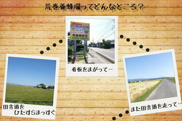 【ふるさと納税】国産天然純はちみつ「さくら」1kgギフト非加熱送料無料1000g期間限定