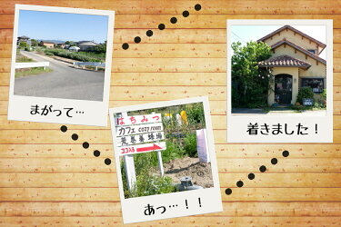 【ふるさと納税】国産天然純はちみつ「さくら」1kgギフト非加熱送料無料1000g期間限定