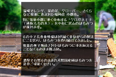 【ふるさと納税】国産天然純はちみつ「さくら」1kgギフト非加熱送料無料1000g期間限定