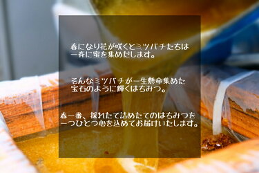 【ふるさと納税】国産天然純はちみつ「さくら」1kgギフト非加熱送料無料1000g期間限定