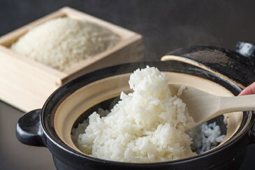 【ふるさと納税】特A評価 『花むすめ（ひのひかり）』 5kg 　国産　福岡県　めし丸　送料無料　白米