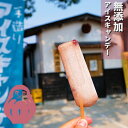 【ふるさと納税】酒蔵手づくりの無添加アイスキャンデーあずき 20本