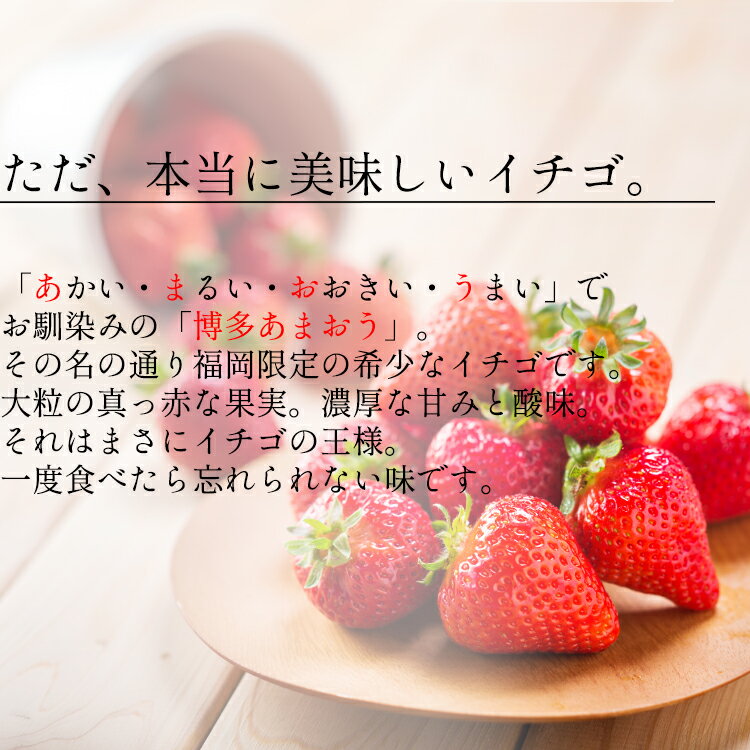 【ふるさと納税】「博多あまおう」 白木のいちご しあわせもん 定期便 5回コース