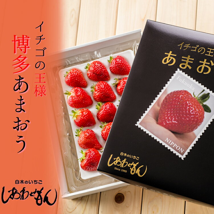 【ふるさと納税】「博多あまおう」 白木のいちご しあわせもん 定期便 5回コース