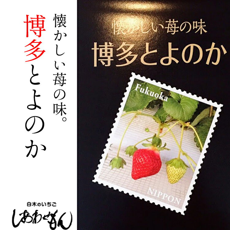 【ふるさと納税】いちご職人 白木のいちご「しあわせもん」 とよのか 化粧箱 1箱