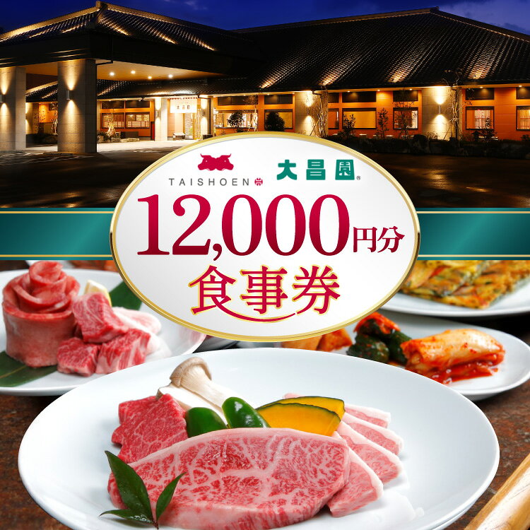 食事券 12000円分 [丸昌 焼肉の大昌園 福岡県 筑紫野市 21761479] お食事券 牛肉 焼肉 焼き肉 韓国料理 ステーキ