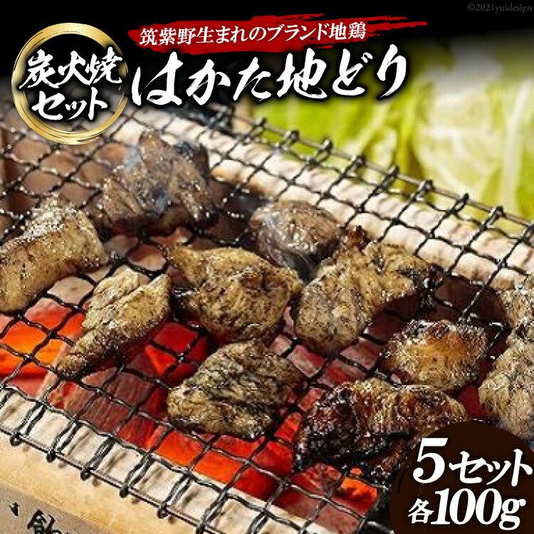 【ふるさと納税】「はかた地どり」炭火焼セット